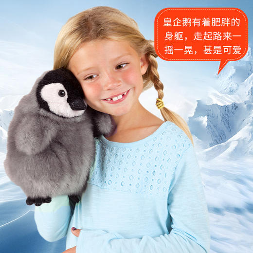 Folkmanis Puppets皇企鹅玩具/3126玩偶毛绒玩具礼物 商品图2