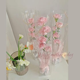 《非你莫属》-透视手提盒