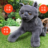 Folkmanis Puppets咕噜猫玩具/3113玩偶毛绒玩具礼物 商品缩略图3