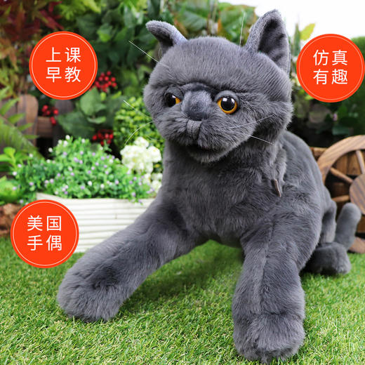 Folkmanis Puppets咕噜猫玩具/3113玩偶毛绒玩具礼物 商品图3