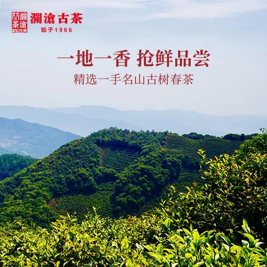 澜沧古茶2021年名山臻味石磨压茶七座名山古树357g*7山装 商品图2