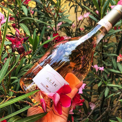 杞冠臻选 | 【意大利花思蝶酒庄】艾莉亚ALIE 海之女神 托斯卡纳桃红葡萄酒 意大利花思蝶Frescobaldi 商品图5