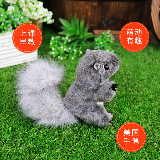 Folkmanis Puppets灰松鼠指套玩具/2648玩偶毛绒玩具礼物 商品图3