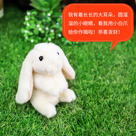 Folkmanis Puppets小垂耳兔指套玩具/2745玩偶毛绒玩具礼物 商品图2