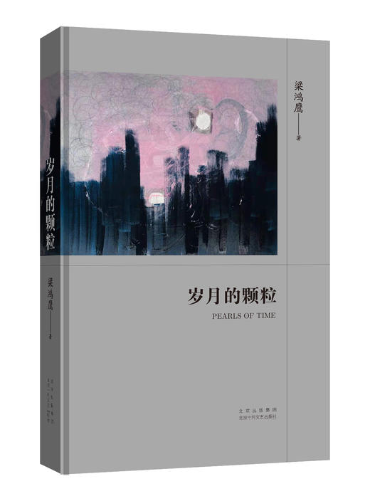 岁月的颗粒 商品图1