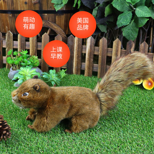 Folkmanis Puppets松鼠玩具/2880玩偶毛绒玩具礼物 商品图3