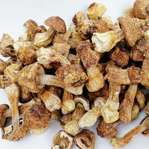 菌菇礼盒C:姬松茸+黑木耳+虫草花+香菇 商品图4