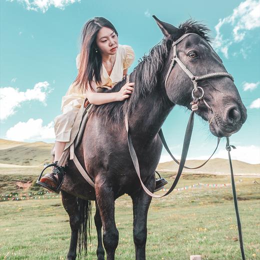 【五一丨若尔盖环线】（5.2-4）天边若尔盖，草原花湖，黄河九曲尽，毡馆牢落胡无影 商品图2