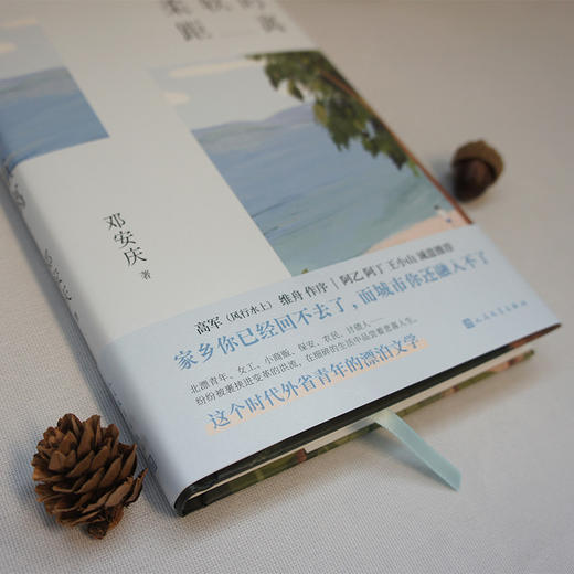 柔软的距离 精装版 豆瓣实力作家邓安庆用文字丈量乡村与城市的距离 现当代文学散文随笔社会小说3000815 商品图3