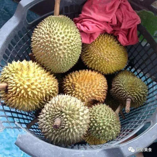 托曼尼榴莲 商品图10