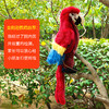 Folkmanis Puppets 金刚鹦鹉玩具/2362玩偶毛绒玩具礼物 商品缩略图4