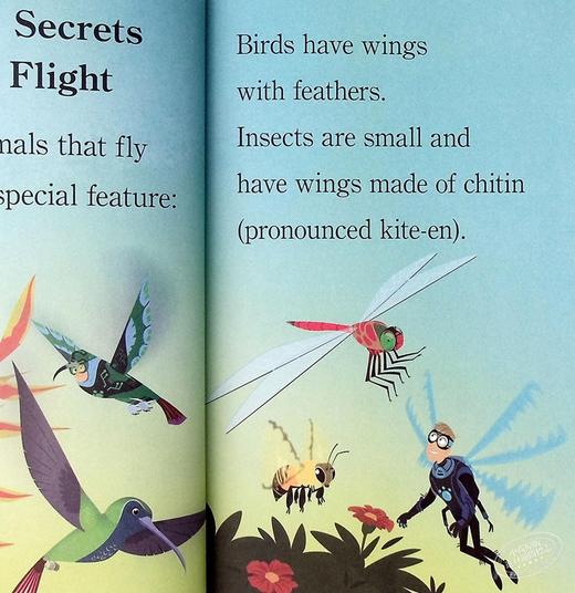 【中商原版】Step Into Reading2：Wild Fliers! - Dlx Sir 阅读进阶2级：动物兄弟野生动物 儿童科普 平装 英文原版 3-6岁 商品图6