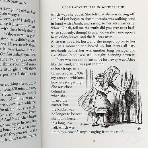【中商原版】Wordsworth Collector s Editions Alice in Wonderland 英文原版 经典小说收藏版系列 爱丽丝梦游仙境 Lewis Carroll 商品图5
