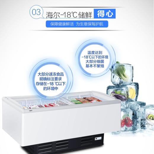 海尔（Haier）冷柜SC/SD-828CXU9 商品图3