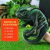 Folkmanis Puppets变色龙玩具/2215玩偶毛绒玩具礼物 商品缩略图3