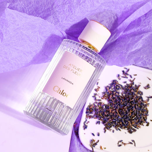 蔻依 仙境花园系列 薰衣草情人梦 Chloe Atelier des fleurs Lavanda   分装 商品图2