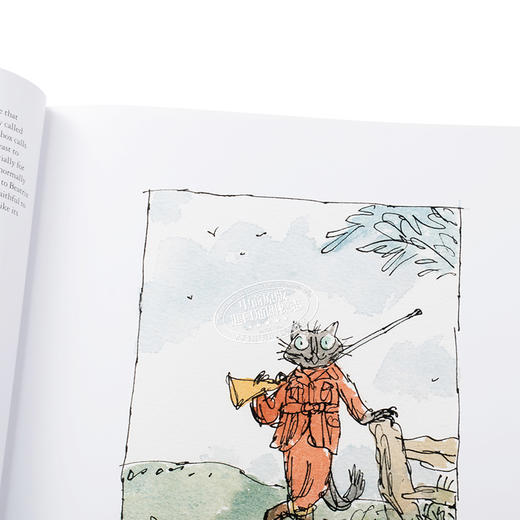 【中商原版】Quentin Blake:Pens Ink & Places 英文原版 昆丁布雷克：钢笔墨水和地方 商品图5