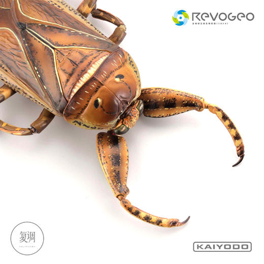 现货 海洋堂 REVO GEO 系列 狄氏大田鱉 摆件 可动 潮玩 商品图2