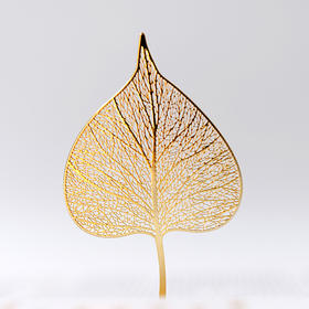 手心里四季之叶菩提 书签信封装"