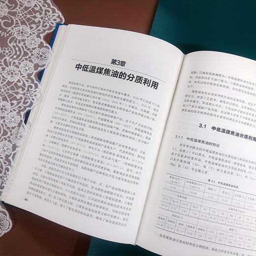 低阶煤分质利用 商品图5