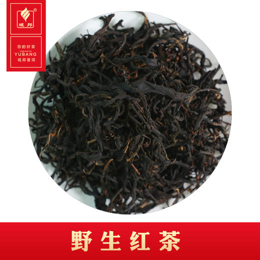 野生红茶 商品图0