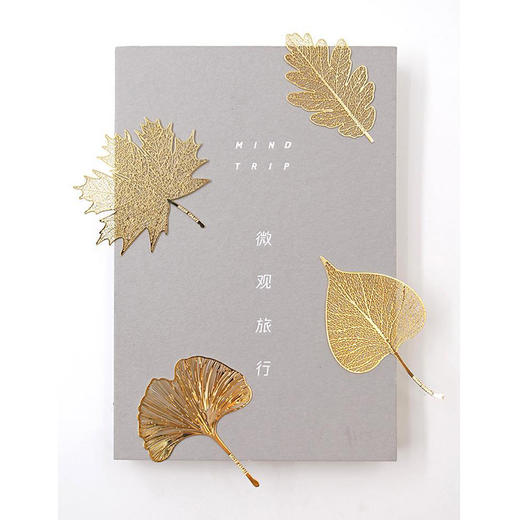 手心里四季之叶（4片大礼盒升级款） 商品图0