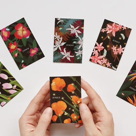 信的恋人LOMO留言小卡迷雾丛林L3233