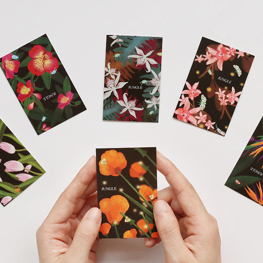 信的恋人LOMO留言小卡迷雾丛林L3233 商品图0