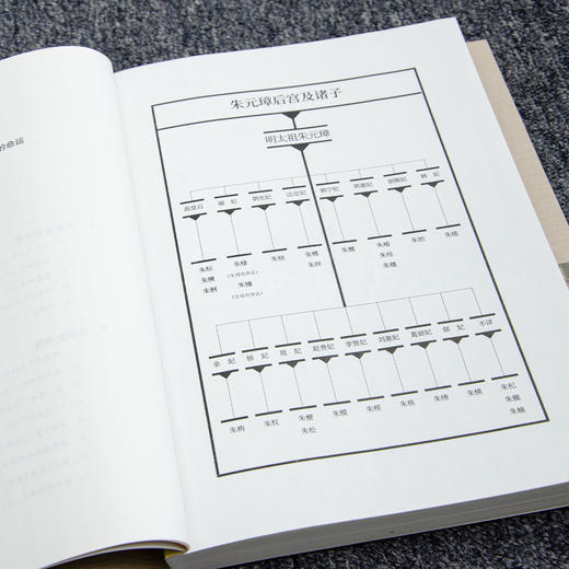 张宏杰《洪武：朱元璋的成与败》 商品图2