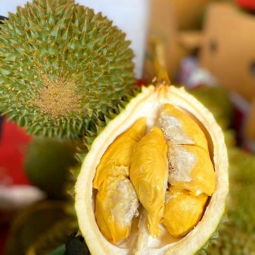 4872小时发货不接急单泰国巴掌猫山王托曼尼榴莲23斤包3房保留快递面