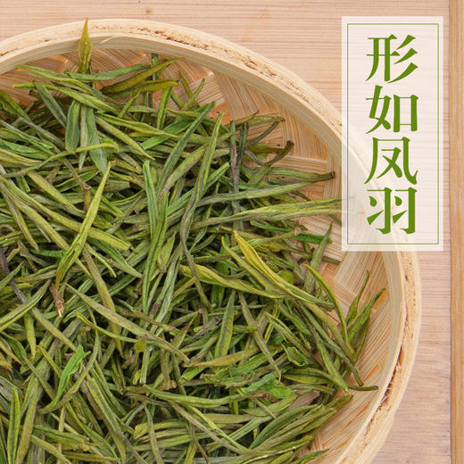 正宗安吉白茶特级2021年新茶珍稀绿茶春茶雨前特级200g罐装茶叶 商品图1