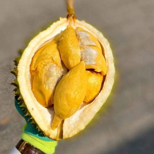 4872小时发货不接急单泰国巴掌猫山王托曼尼榴莲23斤包3房保留快递面