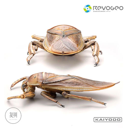 现货 海洋堂 REVO GEO 系列 狄氏大田鱉 摆件 可动 潮玩 商品图3