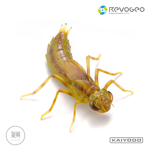 现货 海洋堂 REVO GEO 系列 狄氏大田鱉 摆件 可动 潮玩 商品图1