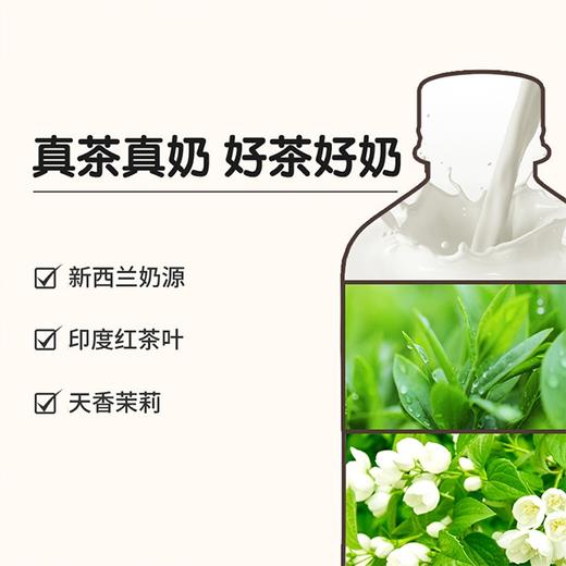 【元気森林乳茶】450ml/瓶 0蔗糖 低脂肪 商品图2