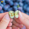 土哆哆云南抚仙湖新鲜蓝莓现摘现发，口感酸甜、香味浓郁,营养高 商品缩略图1