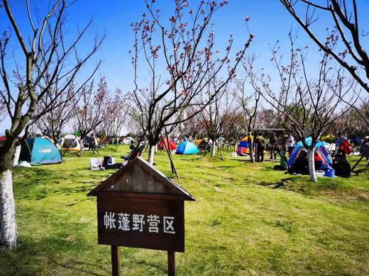 【仅露营护照用户预约】周浦花海露营 商品图1