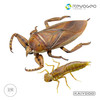 现货 海洋堂 REVO GEO 系列 狄氏大田鱉 摆件 可动 潮玩 商品缩略图6