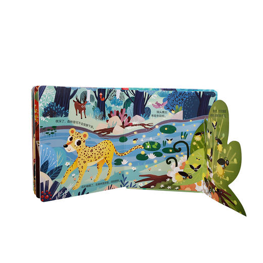 乐乐趣揭秘小世界森林 商品图4