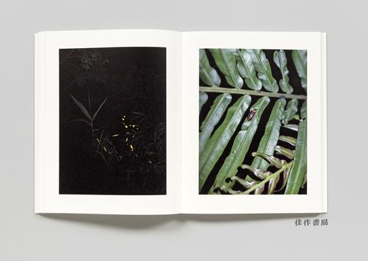 Kapil Das: Something So Clear/卡皮尔·达斯：如此清晰的事物 商品图4