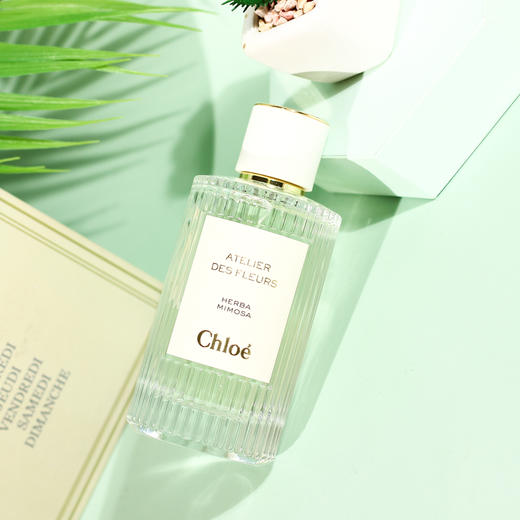 蔻依 仙境花园系列 浅吻含羞草 Chloe Atelier des fleurs Herba Mimosa   分装 商品图3