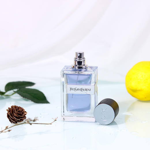 圣罗兰 先锋男士（Y）YSL Yves Saint Laurent Y   分装 商品图1