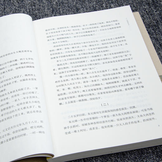 张宏杰《洪武：朱元璋的成与败》 商品图5