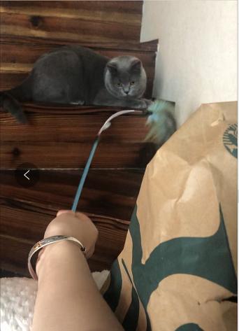 2爱逛 优惠套餐--勿动 商品图0