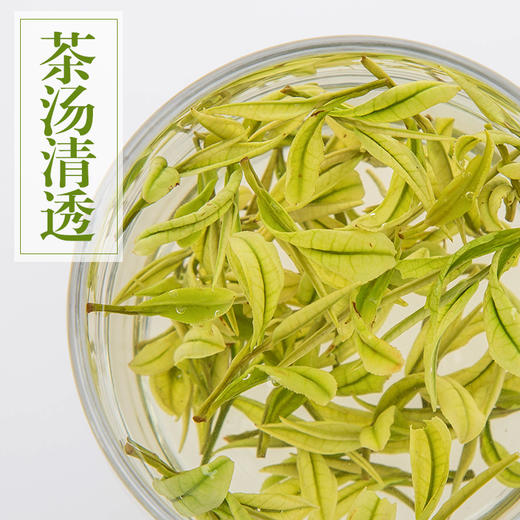 正宗安吉白茶特级2021年新茶珍稀绿茶春茶雨前特级200g罐装茶叶 商品图2