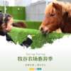 特惠门票 | 牧谷农场春游季 /// 海！狮！表！演，“萌趣来袭，潮玩牧谷”，19.9元起来牧谷农场踏青、赏花、萌宠、采摘.....带家人一起踏遍春色 商品缩略图0