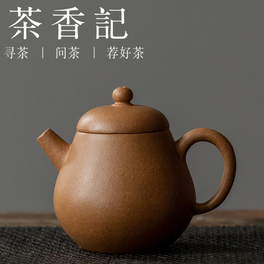 茶香记 紫砂壶黄金小芭乐120ml原矿黄金段泡茶壶趁手好用功夫茶具 商品图0