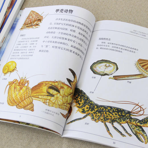 奇趣真相:自然科学大图鉴(1-8) 商品图2