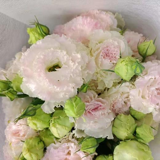 【洋桔梗】--冰淇淋 若干枝/扎 商品图7