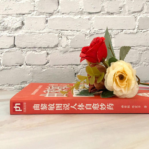 【正版】曲黎敏图说人体自愈妙药-155个穴位搭配治疗76种疾病 书籍 商品图5